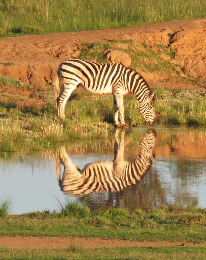 Letsatsi Game Lodge Smithfield Экстерьер фото