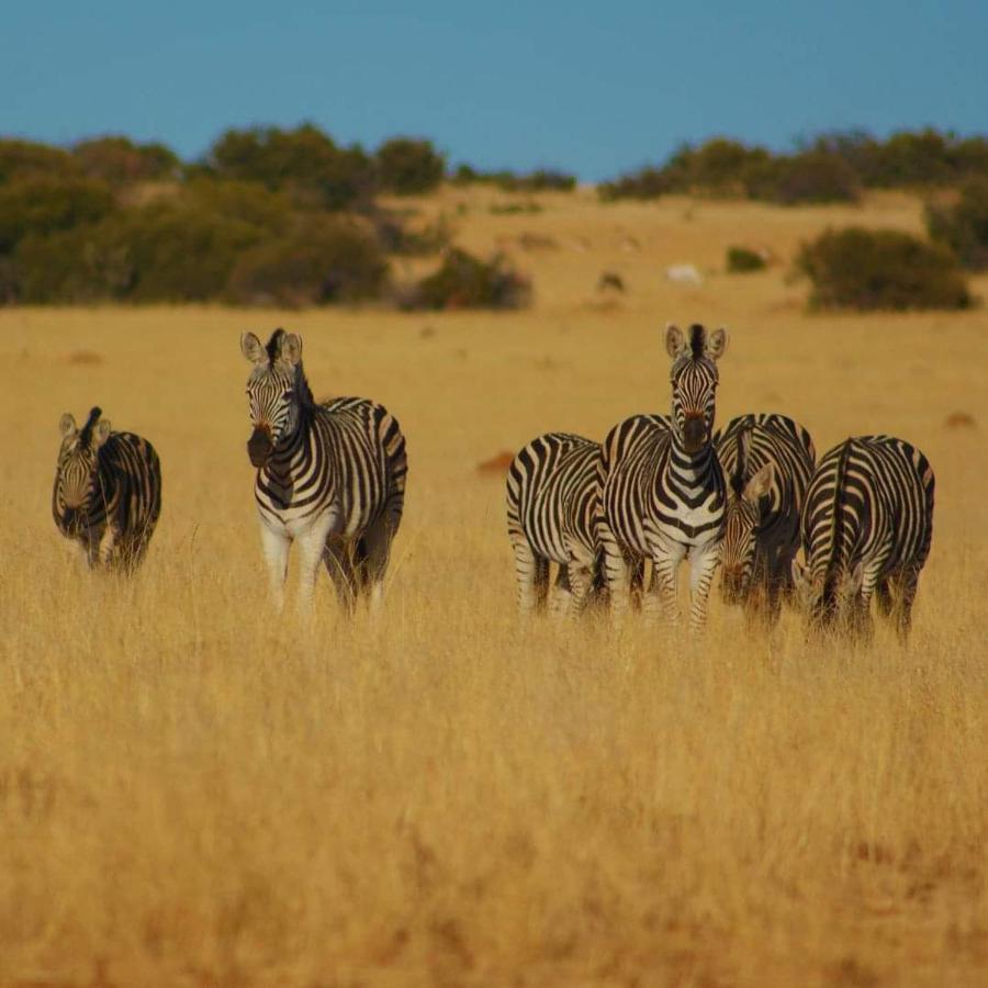 Letsatsi Game Lodge Smithfield Экстерьер фото
