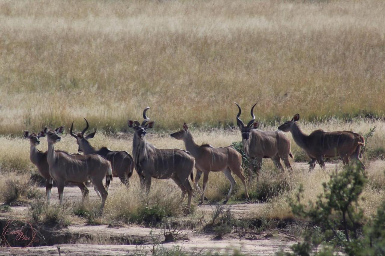 Letsatsi Game Lodge Smithfield Экстерьер фото
