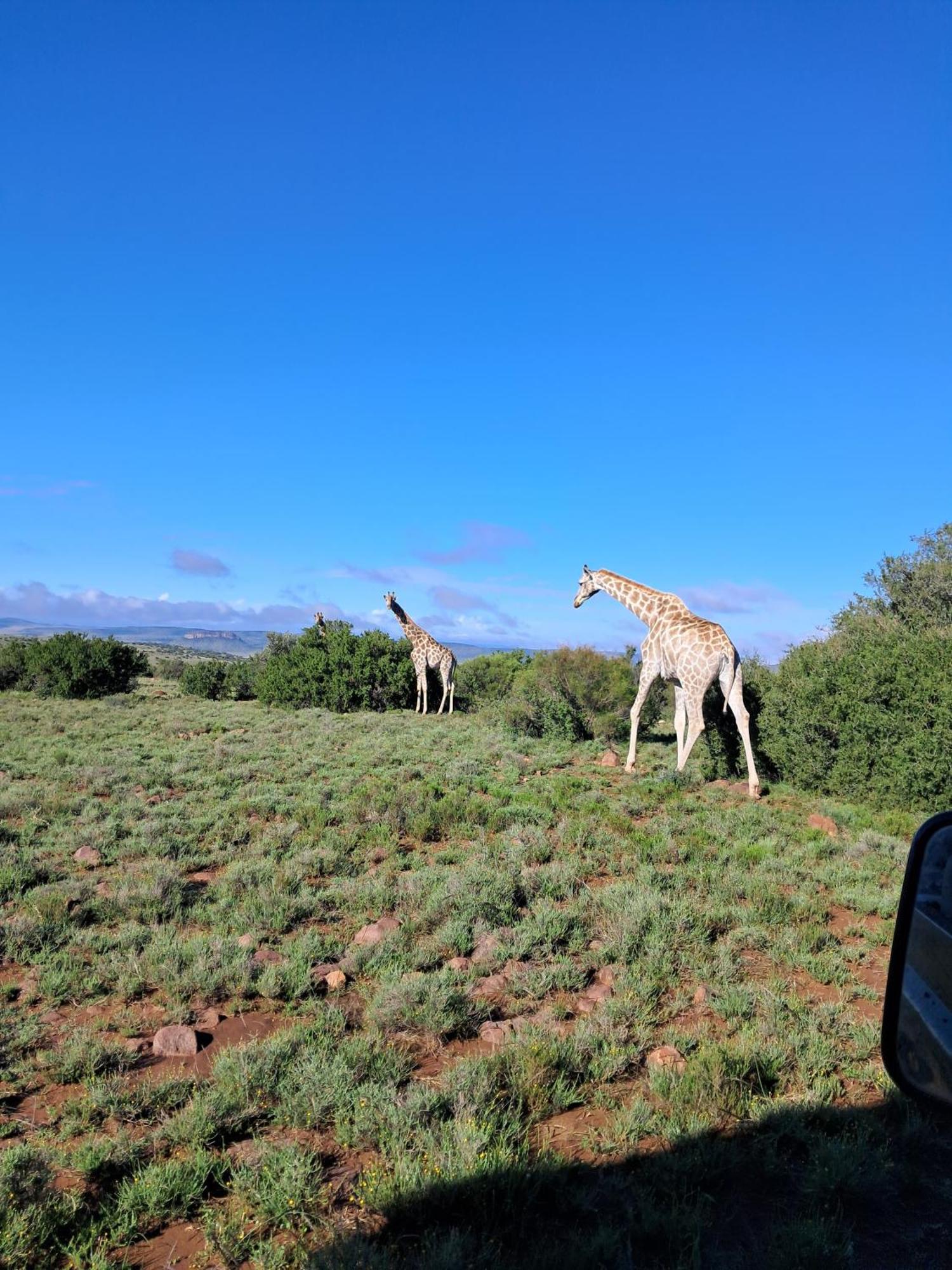 Letsatsi Game Lodge Smithfield Экстерьер фото