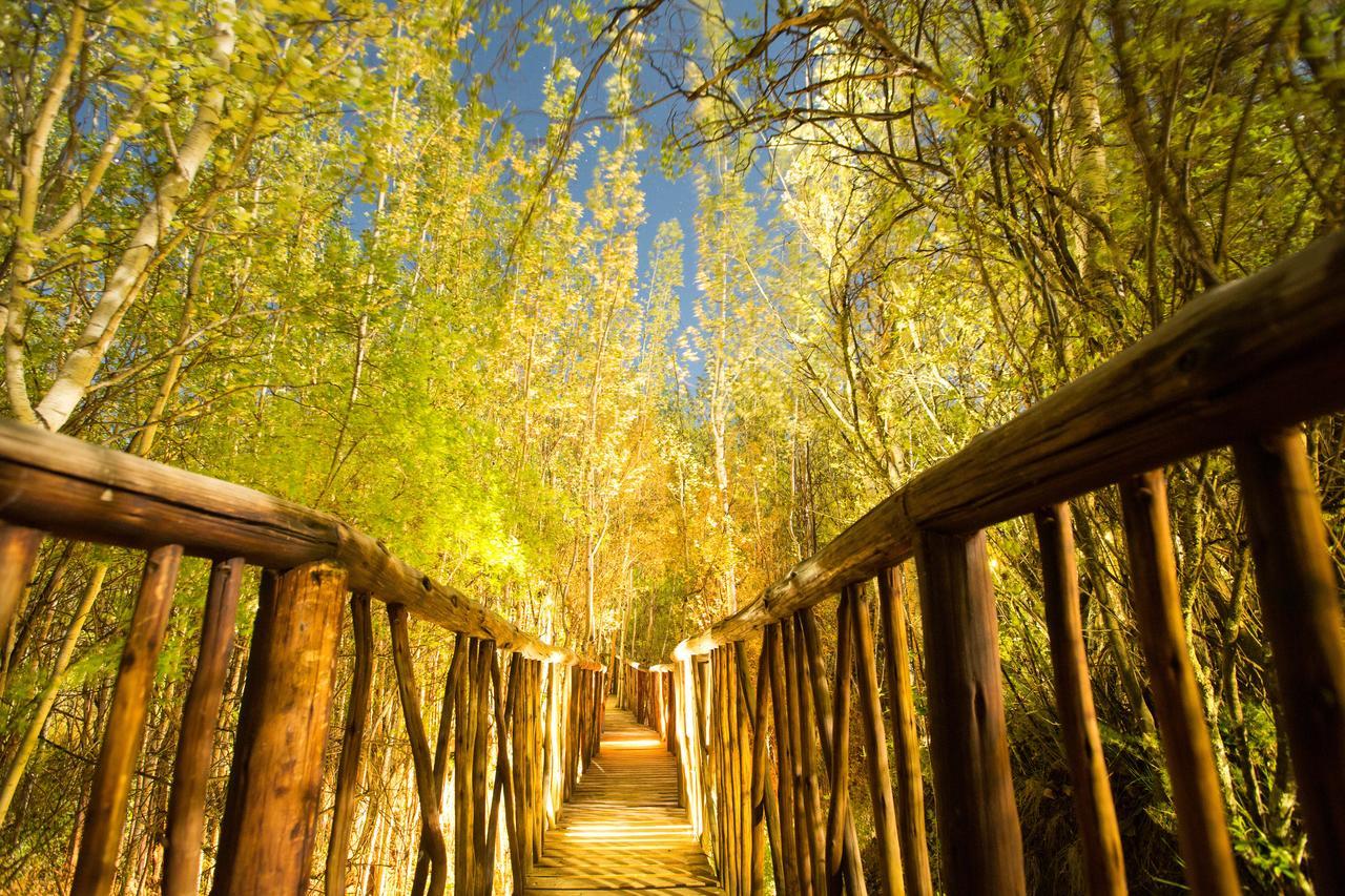 Letsatsi Game Lodge Smithfield Экстерьер фото